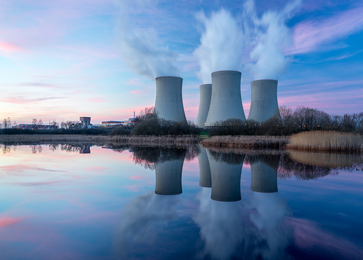 Nuclear Power Plant Inspection Using WAND TM Sensors 